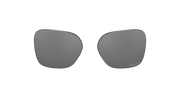 Prizm Black Polarized Lenses