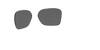 [Prizm Black Polarized Lenses]