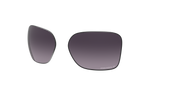 Prizm Grey Gradient Lenses