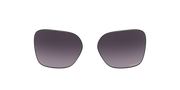 Prizm Grey Gradient Lenses