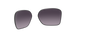 [Prizm Grey Gradient Lenses]