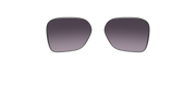 Prizm Grey Gradient Lenses