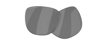 Prizm Black Polarized Lenses