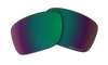 [Prizm Shallow Water Polarized Lenses]