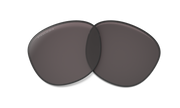 Prizm Grey Lenses