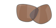 Prizm Tungsten Polarized Lenses