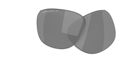 Prizm Black Polarized Lenses