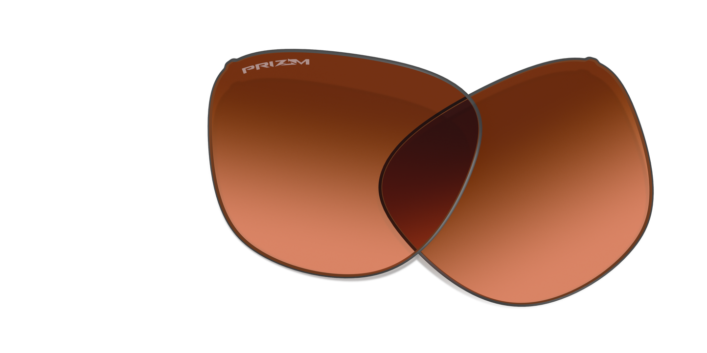 [Prizm Brown Gradient Lenses]