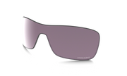 Prizm Daily Polarized Lenses