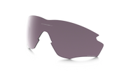 Prizm Daily Polarized Lenses