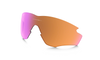 [Prizm Trail Lenses]