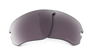 Prizm Daily Polarized Lenses