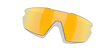 [Prizm 24K Polarized Lenses]