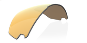 Prizm 24K Polarized Lenses