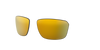 [Prizm 24K Polarized Lenses]