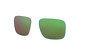 [Prizm Shallow Water Polarized Lenses]