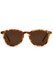 Hawksbill Polarized