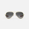 [23k Gold & Coastal Gray Gradient Nylon Non-Polarized Lens]