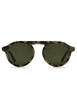 Tortuga Polarized