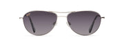 Neutral Grey Lenses, Silver Frame