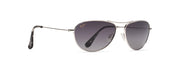 Neutral Grey Lenses, Silver Frame