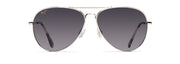 Neutral Grey Lenses, Silver Frame