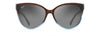 [Neutral Grey Lenses, Translucent Dark Chocolate With Blue Frame]