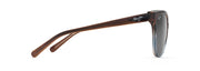 Neutral Grey Lenses, Translucent Dark Chocolate With Blue Frame