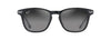 [Neutral Grey Lenses, Shiny Black With Gunmetal Frame]