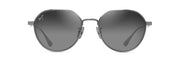 Neutral Grey Lenses, Shiny Dark Ruthenium Frame