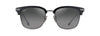 [Neutral Grey Lenses, Shiny Black With Dark Silver Frame]