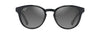 [Neutral Grey Lenses, Shiny Black W In Trans Light Grey Frame]