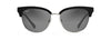 [Neutral Grey Lenses, Black With Silver Frame]