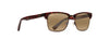 [Hcl® Bronze Lenses, Tortoise With Antique Gold Frame]