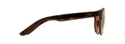 Hcl® Bronze Lenses, Olive Tortoise Frame