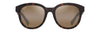 [Hcl® Bronze Lenses, Matte Dark Havana Frame]