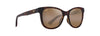 [Hcl® Bronze Lenses, Matte Dark Havana Frame]