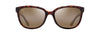 [Hcl® Bronze Lenses, Shiny Dark Havana Frame]