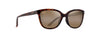 [Hcl® Bronze Lenses, Shiny Dark Havana Frame]