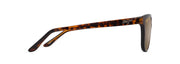 Hcl® Bronze Lenses, Shiny Dark Havana Frame