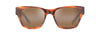 [Hcl® Bronze Lenses, Tortoise Frame]