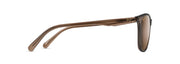 Hcl® Bronze Lenses, Transparent Mocha Frame