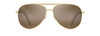 [Hcl® Bronze Lenses, Gold Frame]