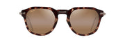 Hcl® Bronze Lenses, Tortoise With Gold Frame