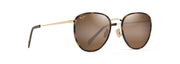 Hcl® Bronze Lenses, Tortoise With Gold Frame