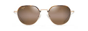 Hcl® Bronze Lenses, Gold Frame