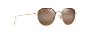 Hcl® Bronze Lenses, Gold Frame