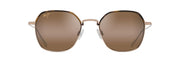 Hcl® Bronze Lenses, Gold Frame