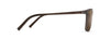 [Hcl® Bronze Lenses, Brown Stripe Frame]