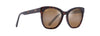 [Hcl® Bronze Lenses, Dark Tortoise Frame]